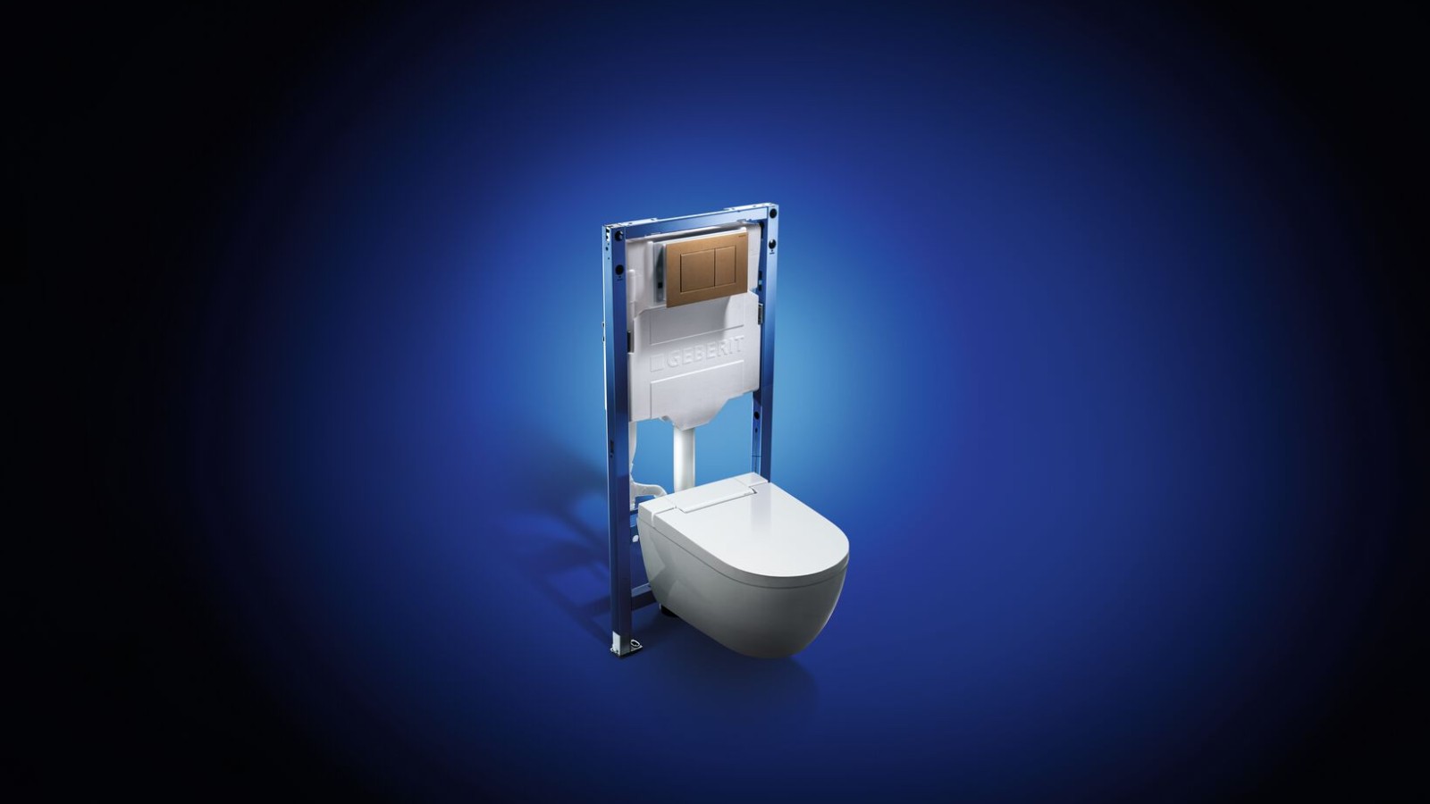 Das Geberit WC-System Das Geberit WC-System