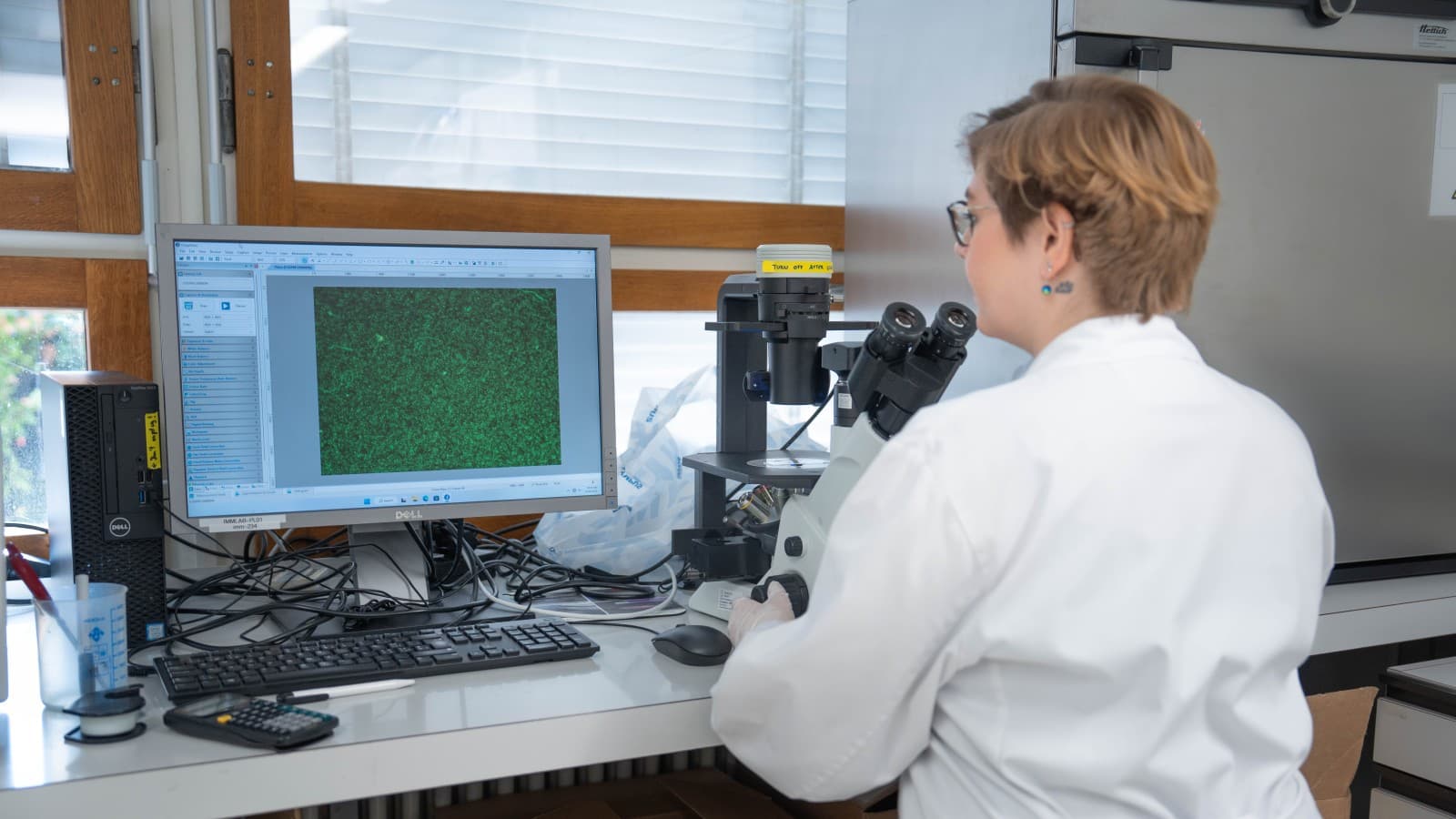 Une personne examine des échantillons au microscope dans un laboratoire